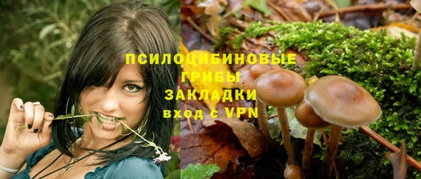 гашиш Вяземский