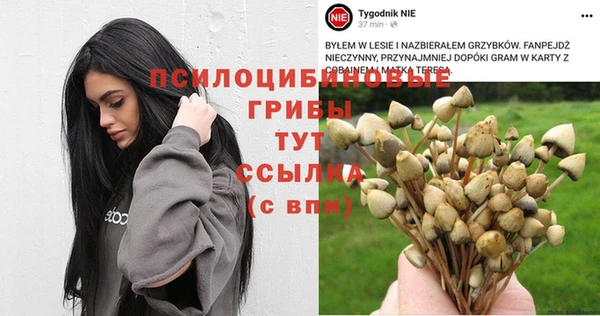 гашиш Вяземский