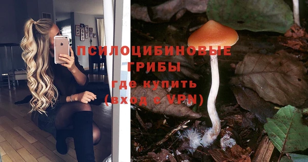 гашиш Вяземский